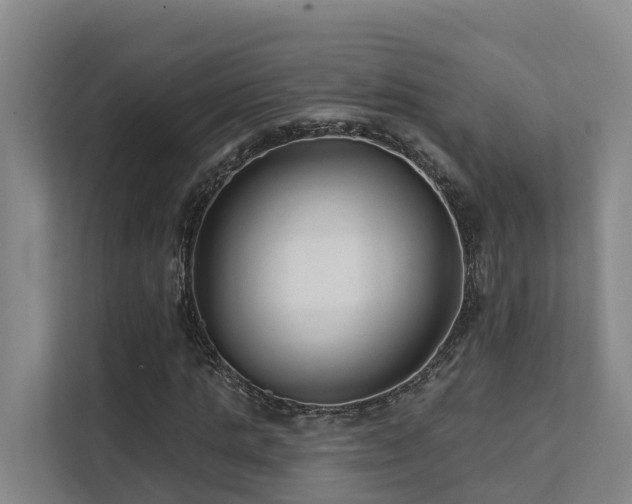 X0000111380821200907101124