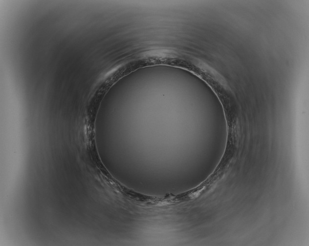 X0000111380822200907101124