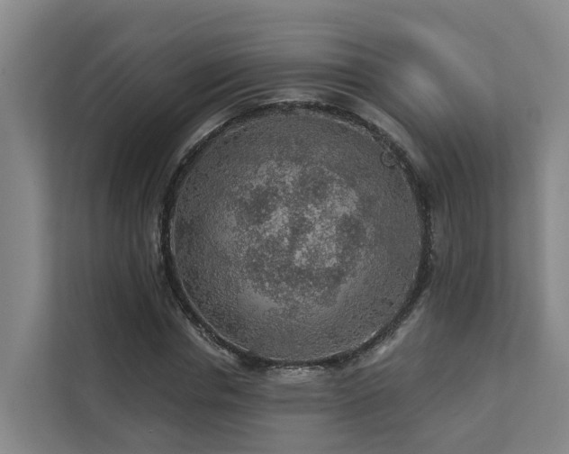 X0000111380826200907101124