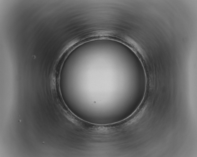 X0000111380827200907101124