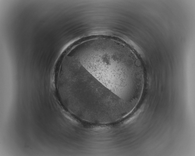 X0000111380830200907101124