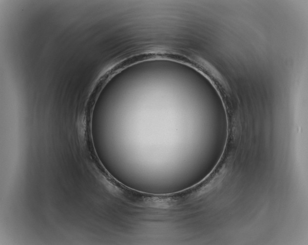 X0000111380831200907101124
