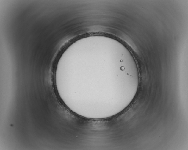 X0000111380832200907101124