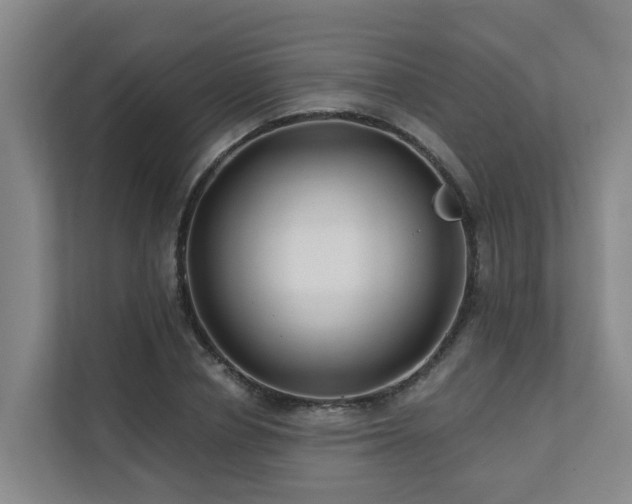 X0000111380834200907101124