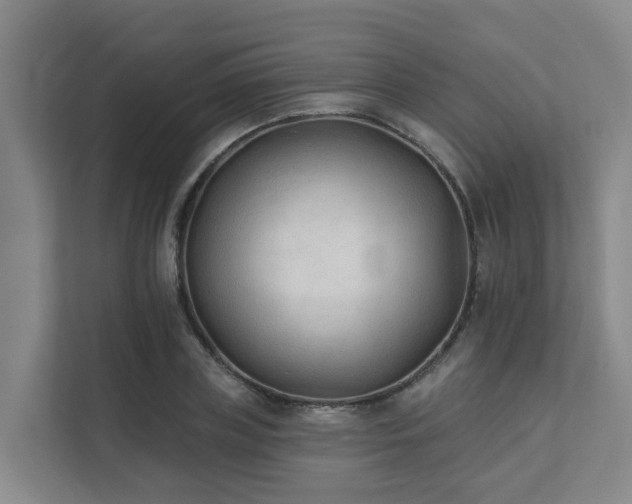 X0000111380835200907101124