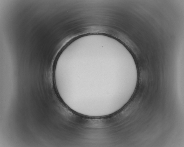 X0000111380836200907101124