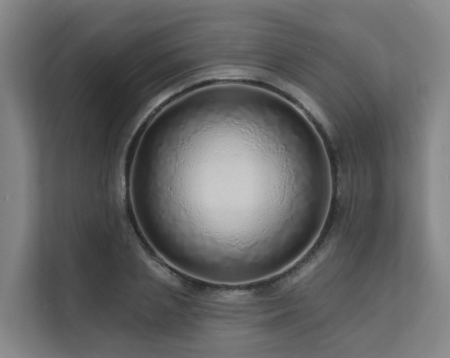 X0000111380837200907101124