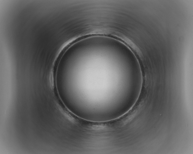 X0000111380838200907101124