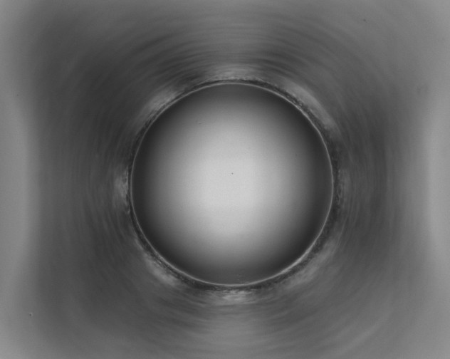 X0000111380841200907101124