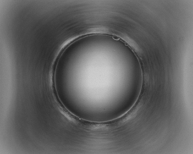 X0000111380846200907101124