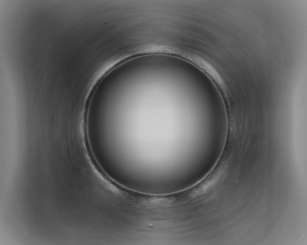 X0000111380847200907101124