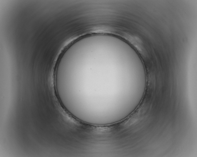 X0000111380848200907101124