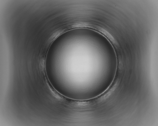 X0000111380849200907101124