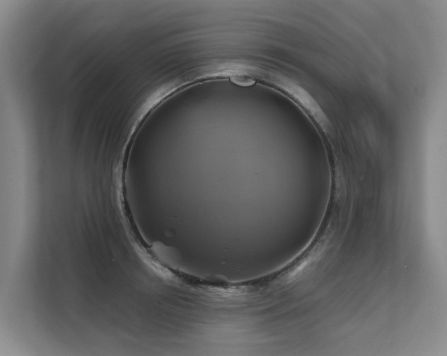 X0000111380850200907101124