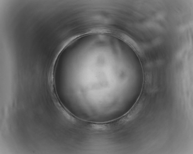 X0000111380852200907101124