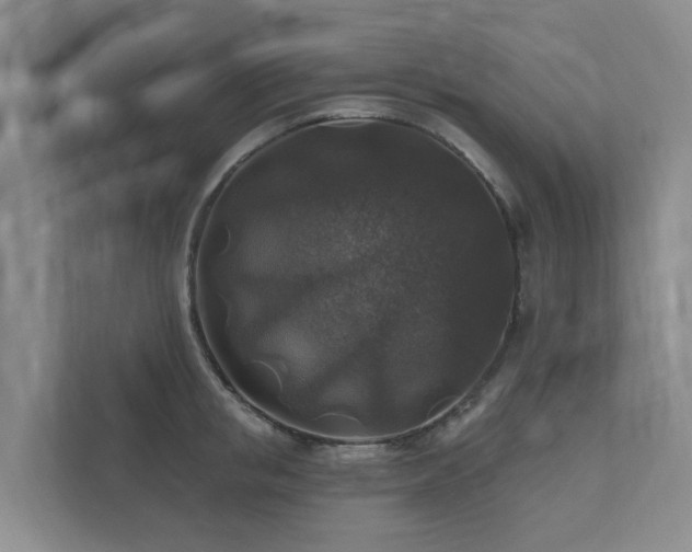 X0000111380853200907101125