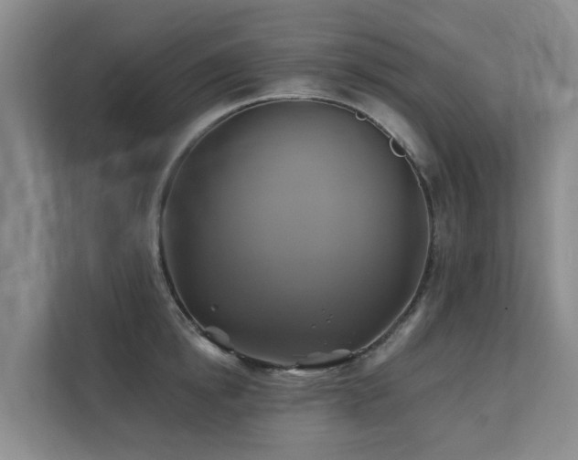 X0000111380854200907101125