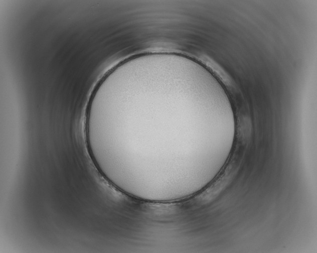 X0000111380856200907101125