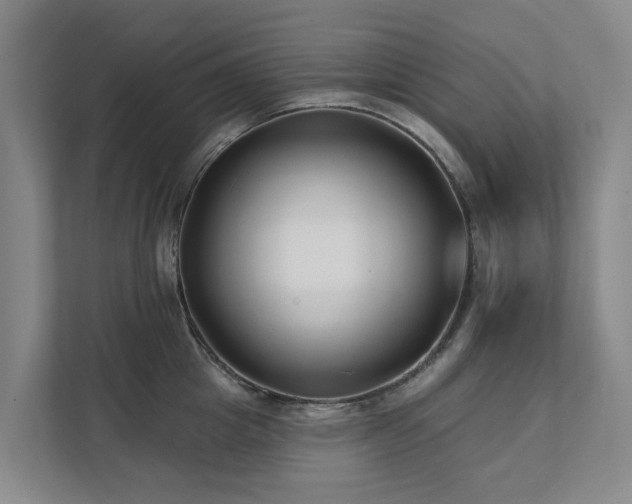 X0000111380857200907101125