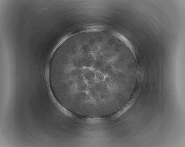 X0000111380859200907101125
