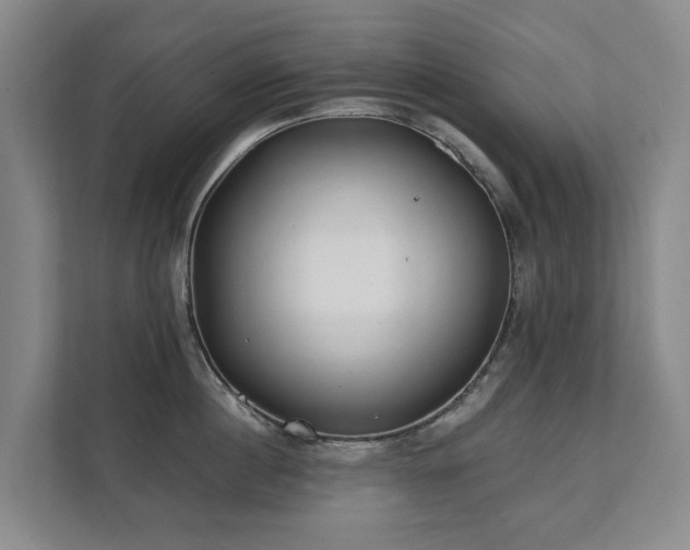 X0000111380860200907101125