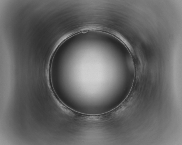 X0000111380861200907101125
