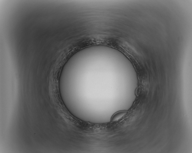 X0000111380865200907101124