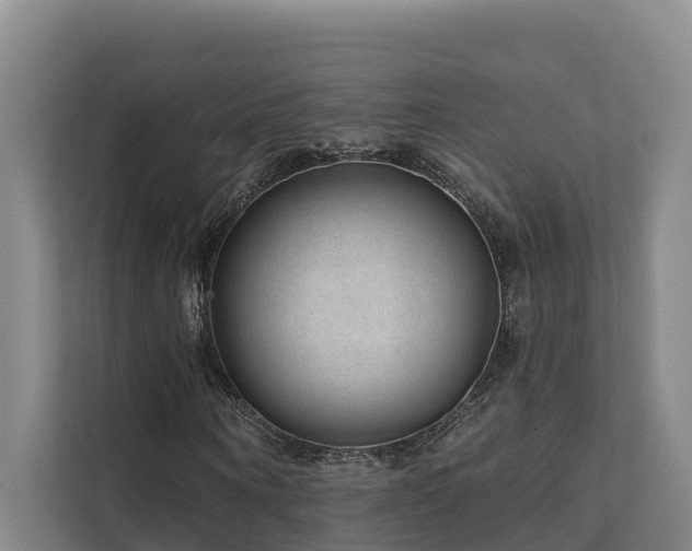 X0000111380866200907101124