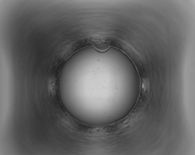 X0000111380867200907101124