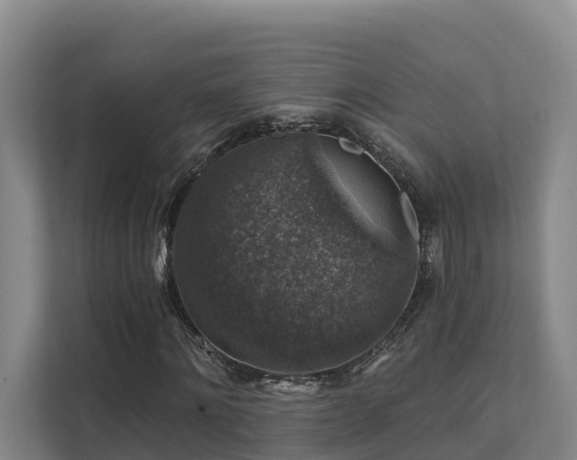 X0000111380868200907101124