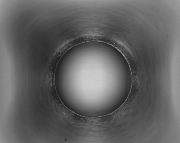 X0000111380870200907101124