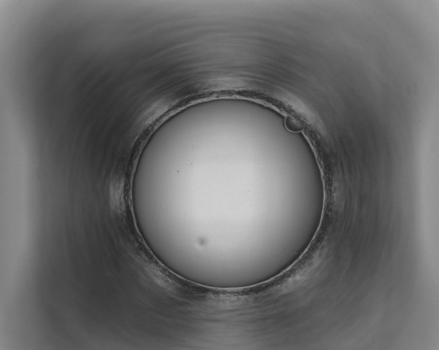 X0000111380873200907101124