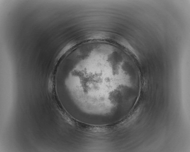 X0000111380874200907101124