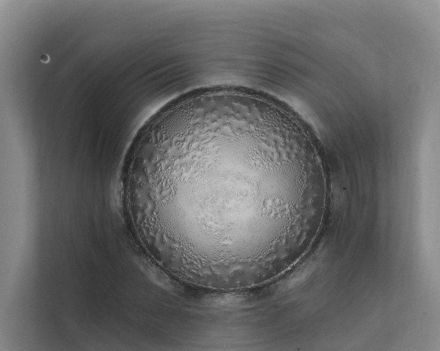 X0000111380879200907101124