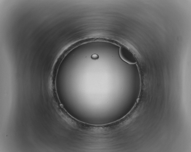 X0000111380880200907101124