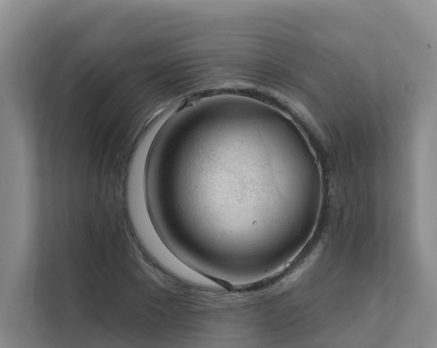 X0000111380881200907101124
