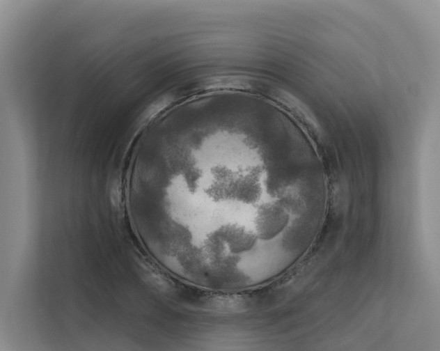 X0000111380882200907101124