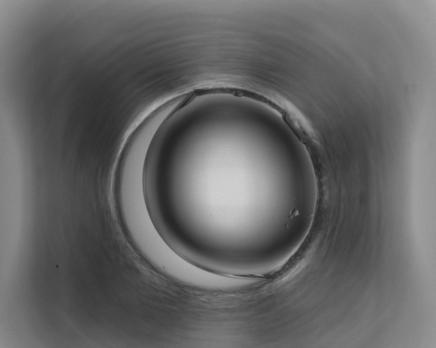 X0000111380885200907101124