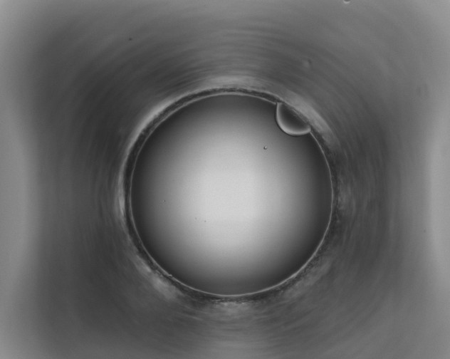 X0000111380888200907101124
