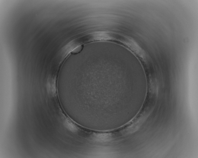 X0000111380889200907101124