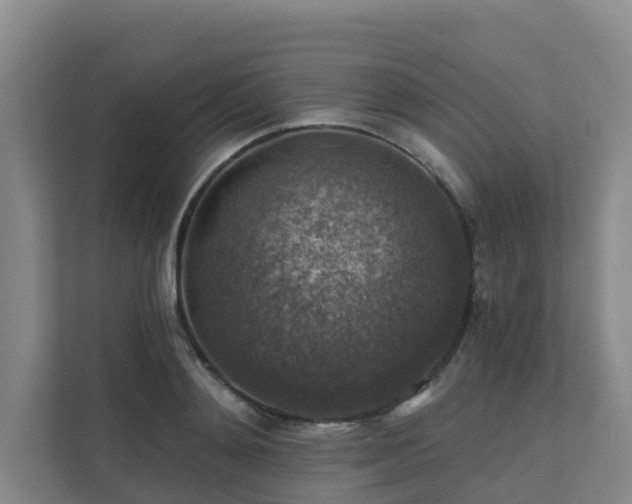 X0000111380892200907101124