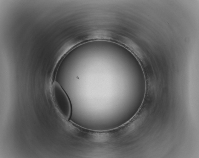 X0000111380893200907101124