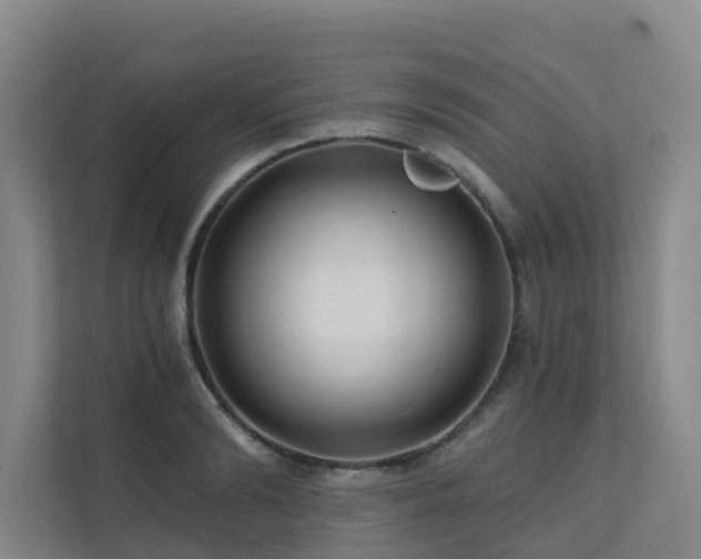 X0000111380894200907101124