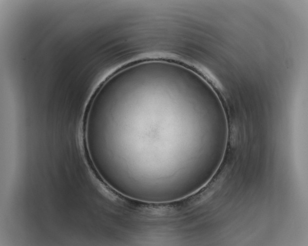 X0000111380895200907101124