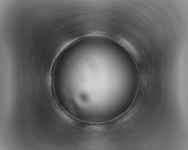 X0000111380900200907101124