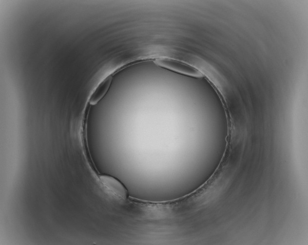 X0000111380901200907101124