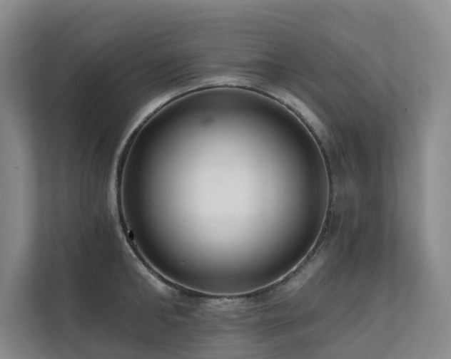X0000111380902200907101124