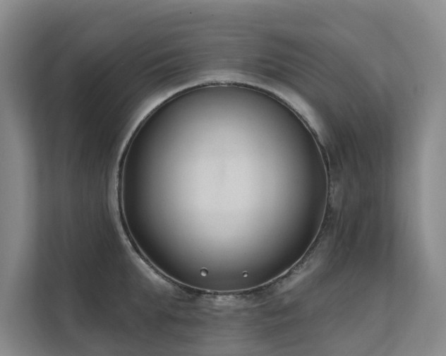X0000111380903200907101124