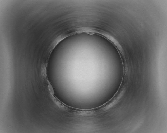X0000111380905200907101124