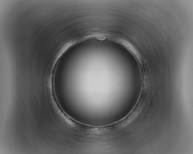 X0000111380906200907101123